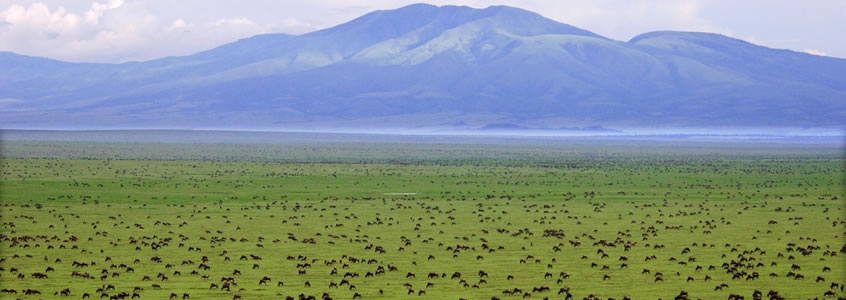 Serengeti National Park