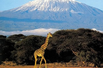 7-Day Kenya Exclusive Safari