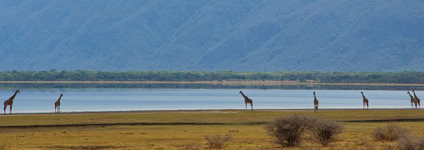 Lake Manyara