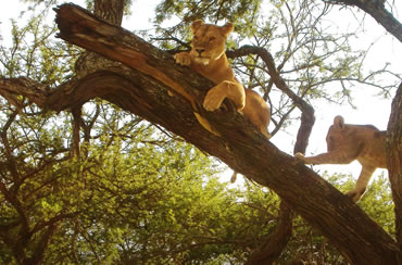 Lake Manyara