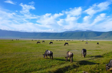 Ngorongoro National Park