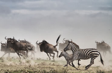 Serengeti National Park