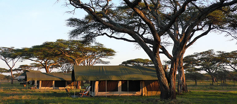 tours and travels in kenya